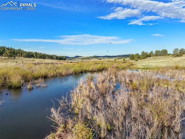 224 Lakeview Forest Heights