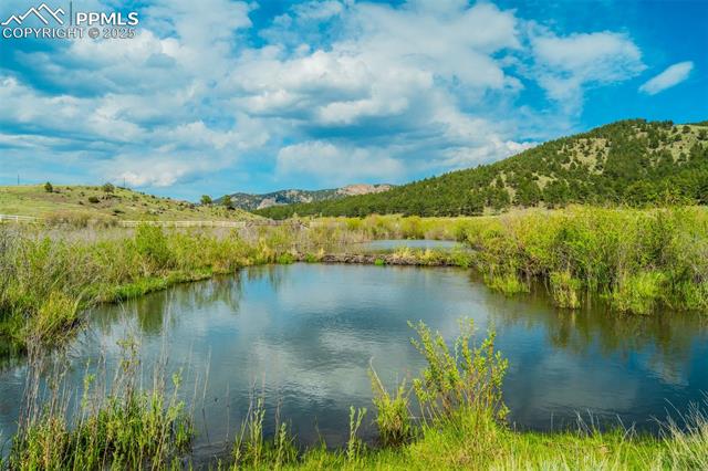 224 Lakeview Forest Heights