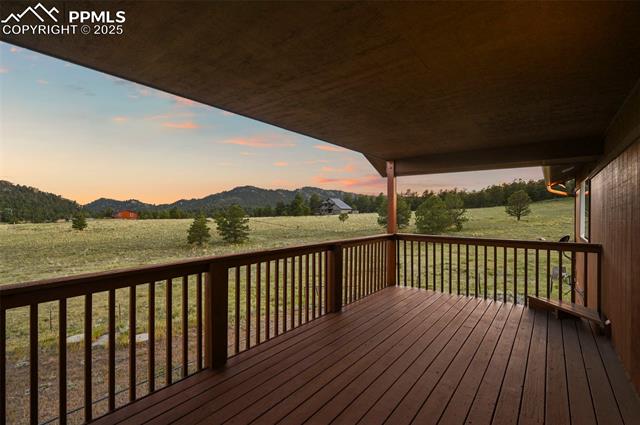 115 White Tail Lane