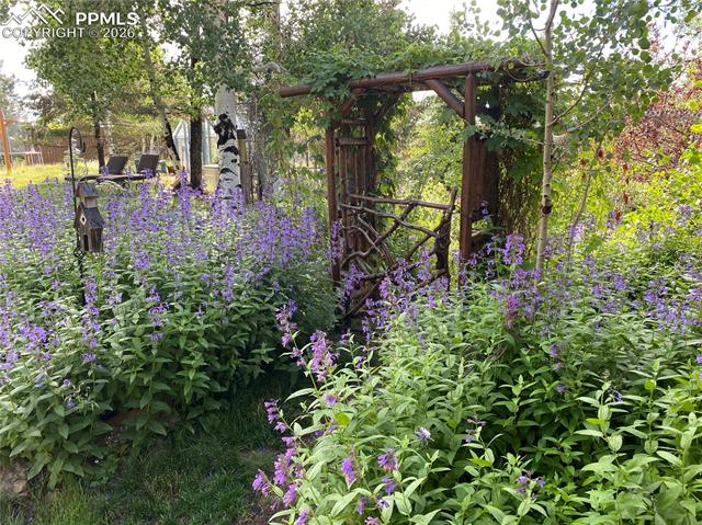 1366 Vagabond Creek Drive