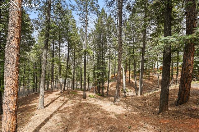 1300 W Midland Avenue