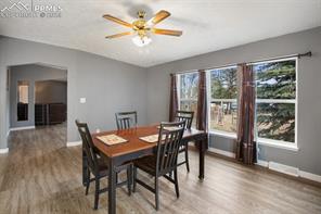 415 Forest Glen Trail