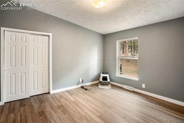 415 Forest Glen Trail