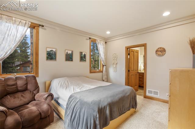 1230 Cottontail Trail