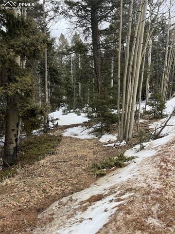 2763 N Mountain Estates Road