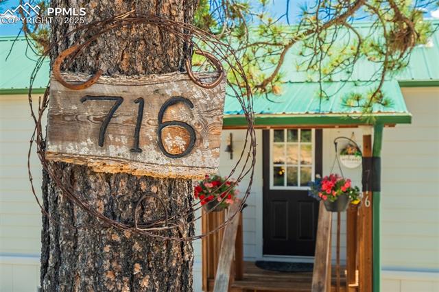 716 Badger Trail