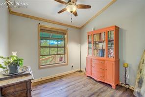 716 Badger Trail