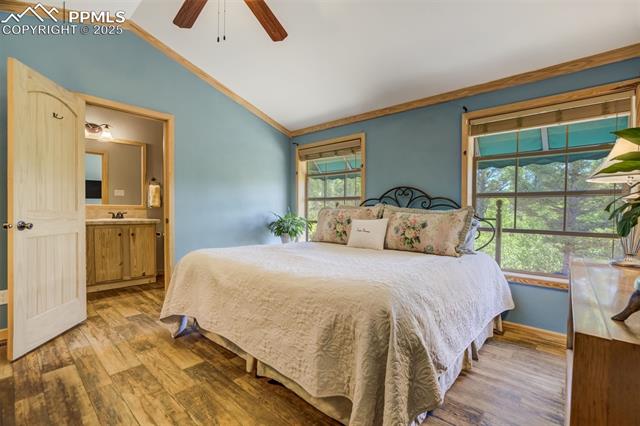 716 Badger Trail