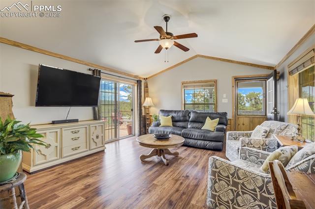 716 Badger Trail