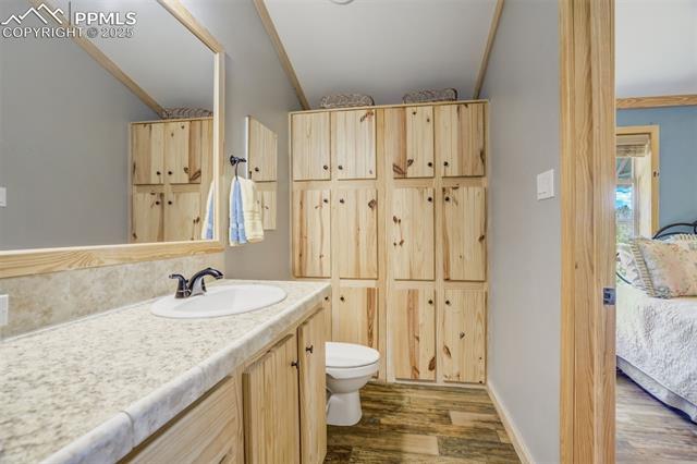 716 Badger Trail