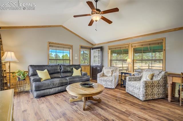 716 Badger Trail
