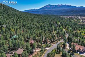 1261 Forest Edge Road