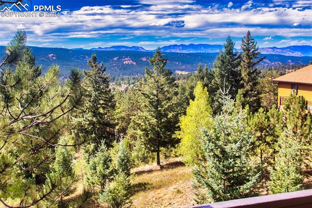 1261 Forest Edge Road