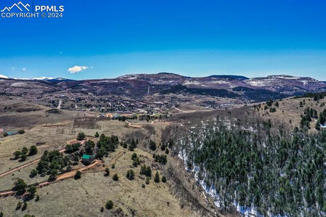 1235 Teller County Road 1
