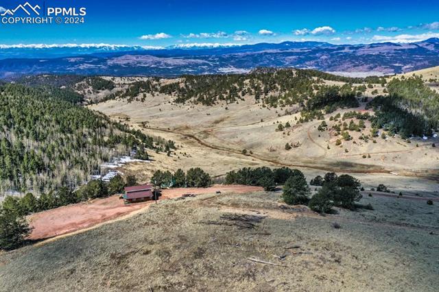 1235 Teller County Road 1