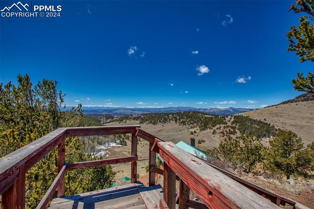 1235 Teller County Road 1