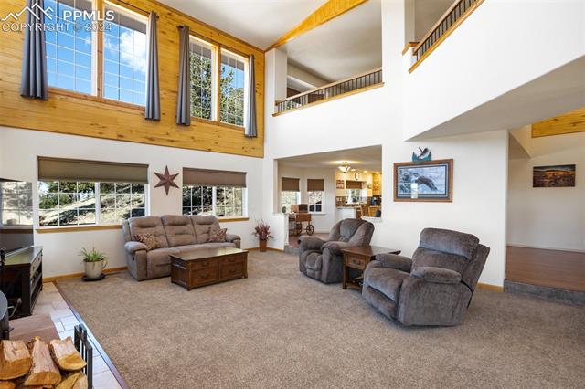 1235 Teller County Road 1