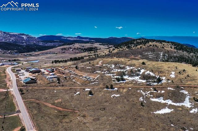 1235 Teller County Road 1
