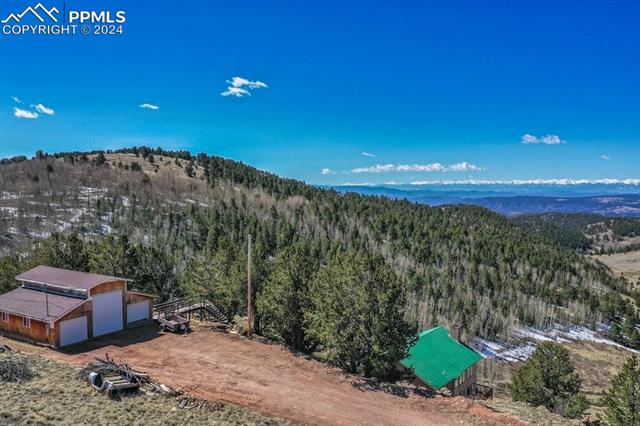 1235 Teller County Road 1