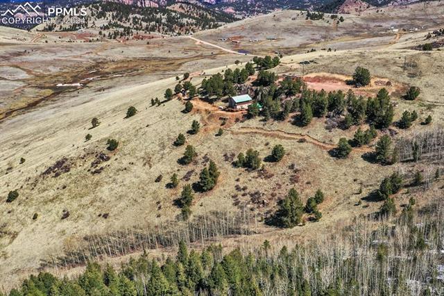 1235 Teller County Road 1