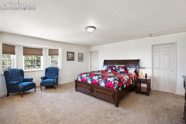 1235 Teller County Road 1