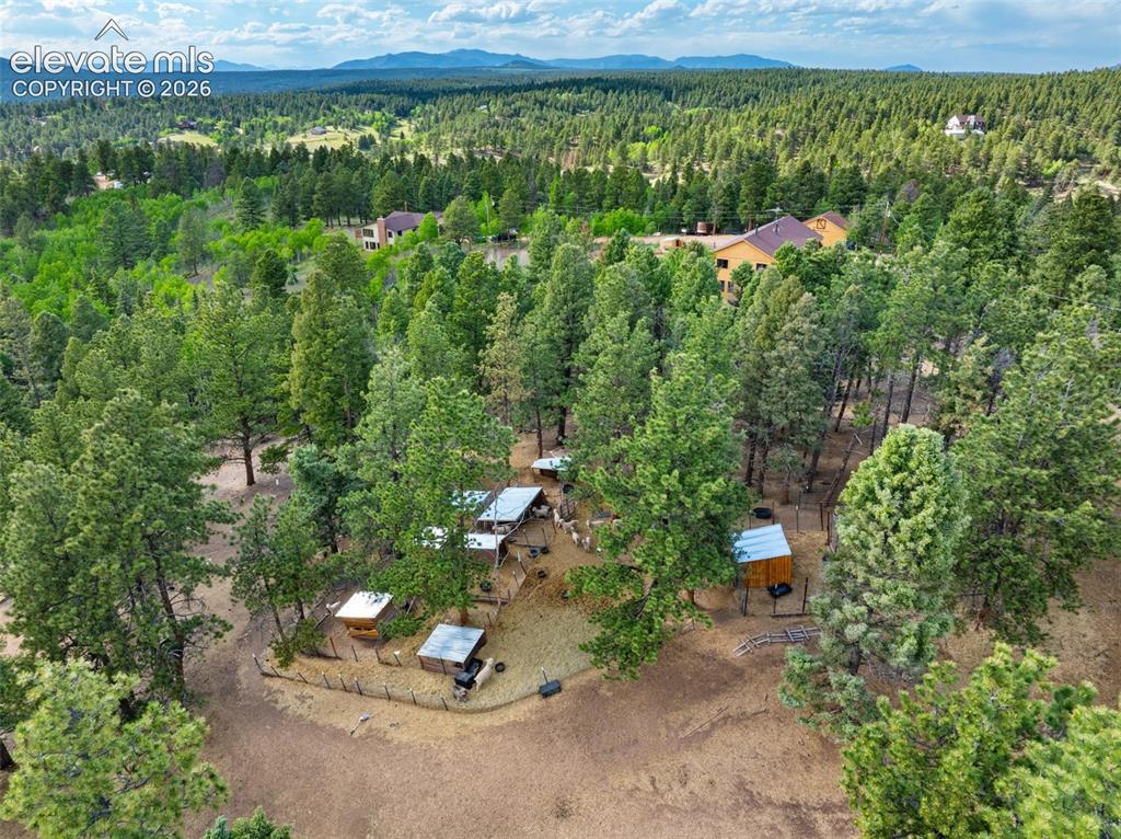 4269 Cedar Mountain Road