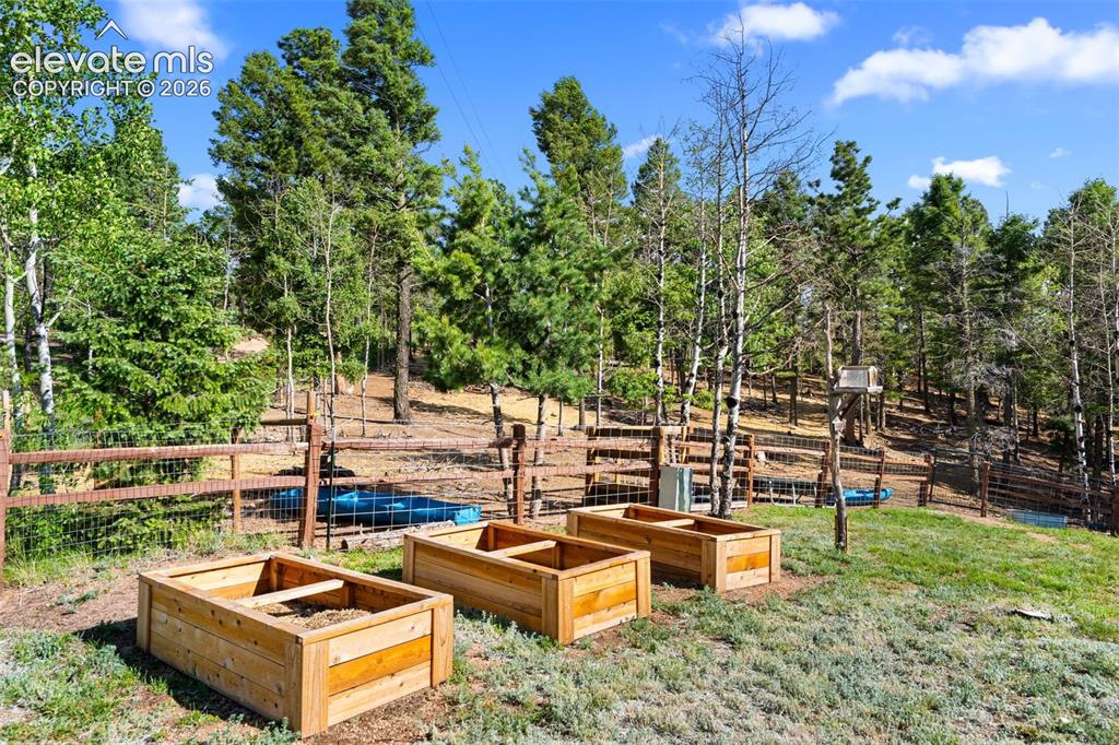 4269 Cedar Mountain Road