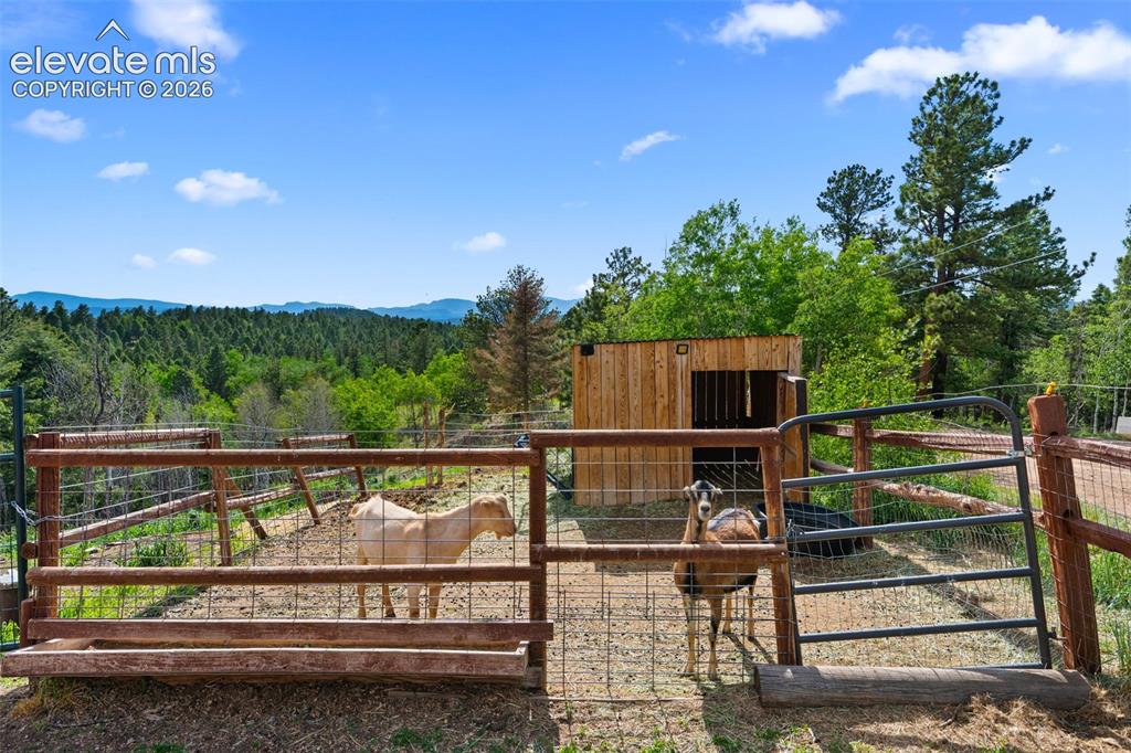4269 Cedar Mountain Road