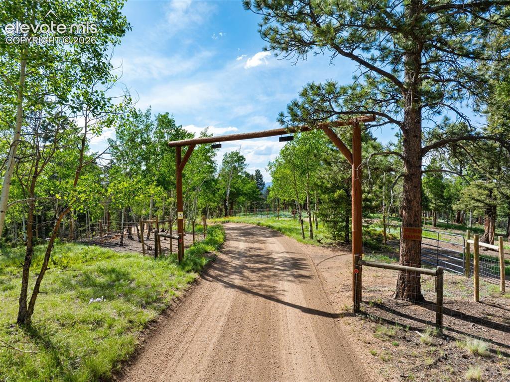 4269 Cedar Mountain Road