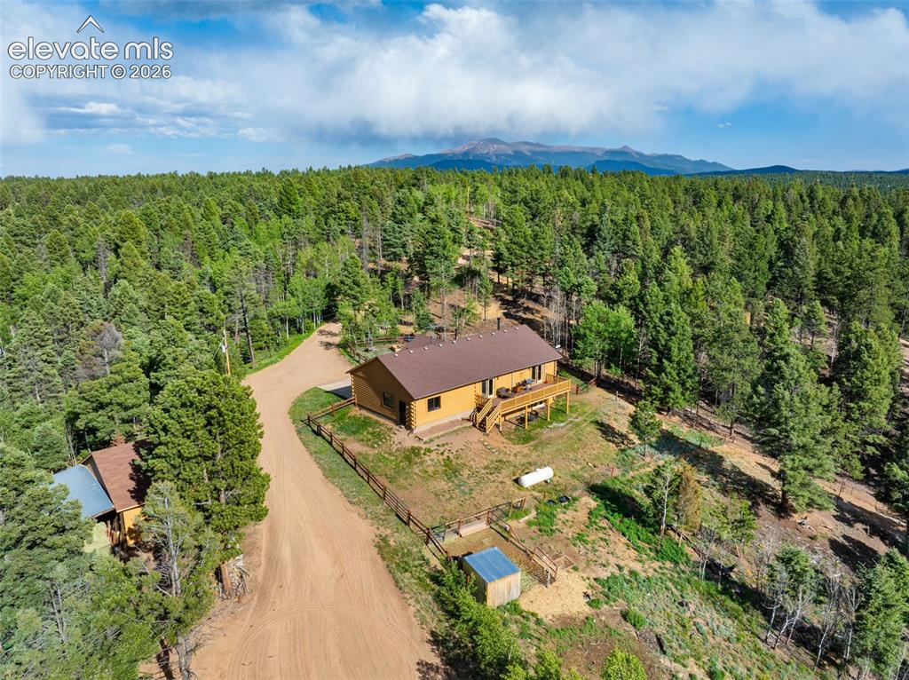 4269 Cedar Mountain Road