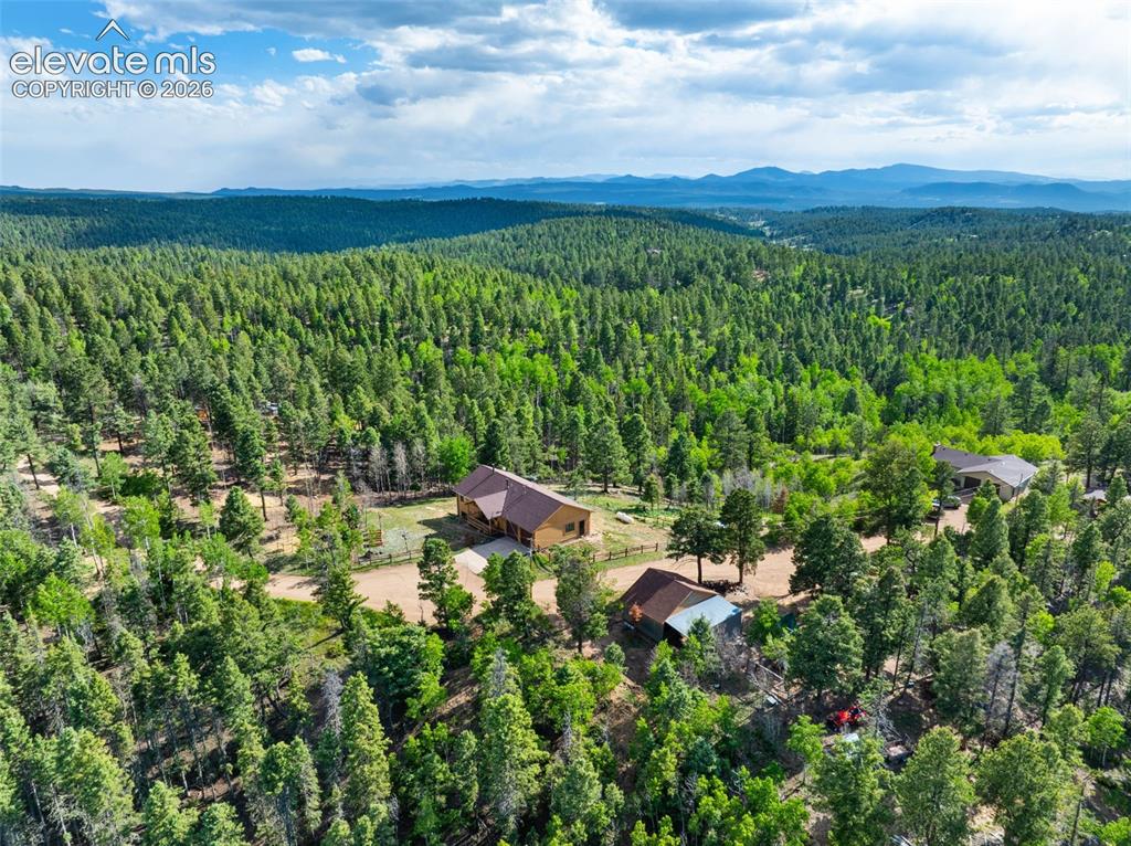 4269 Cedar Mountain Road
