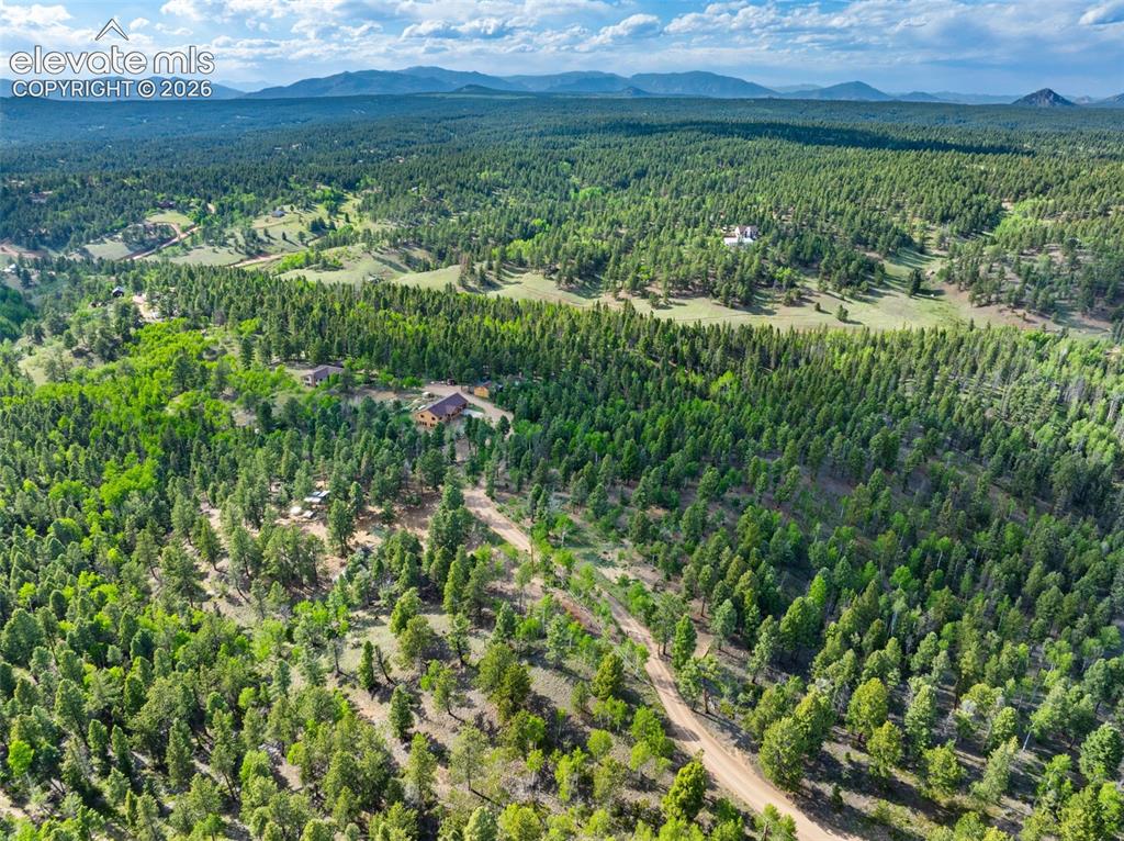 4269 Cedar Mountain Road
