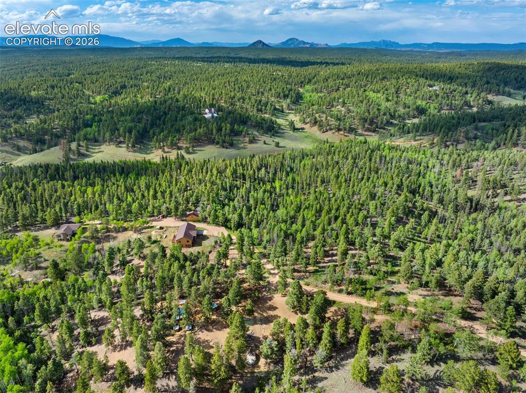 4269 Cedar Mountain Road
