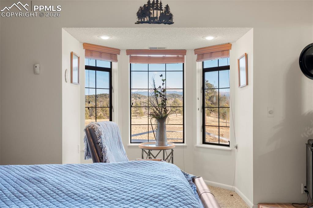 537 Chapparal Trail