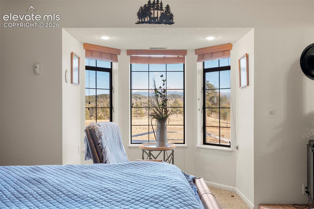 537 Chapparal Trail