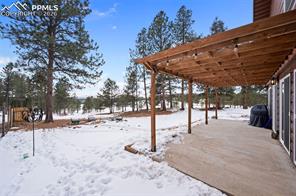 803 Timber Mesa Road