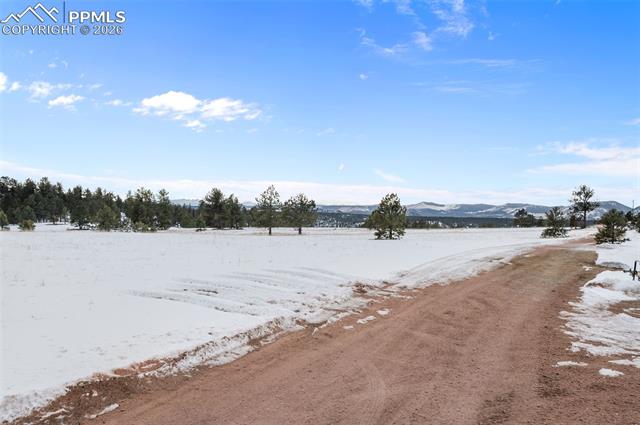 803 Timber Mesa Road