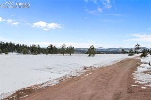 803 Timber Mesa Road