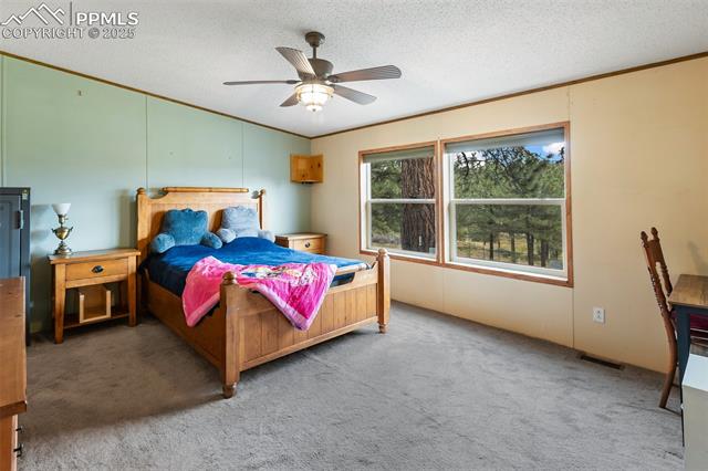 1703 Arapahoe Drive