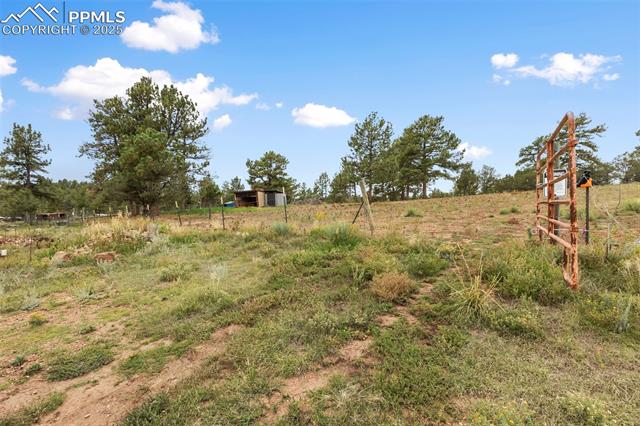 1703 Arapahoe Drive