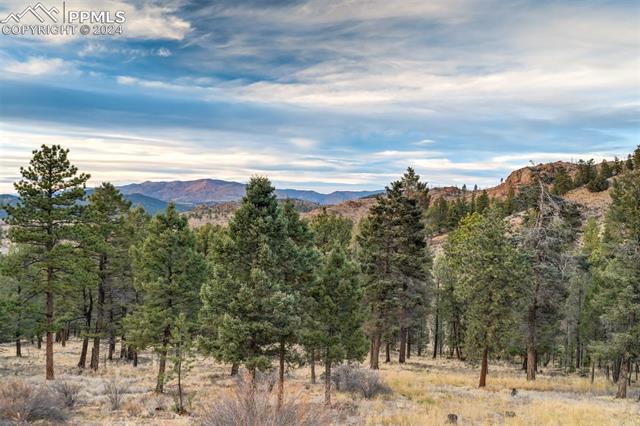 489 Trail Creek Road