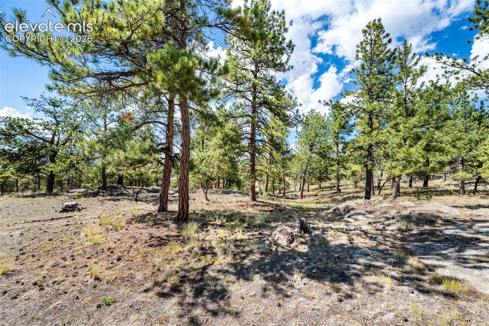 363 Arrowhead Drive