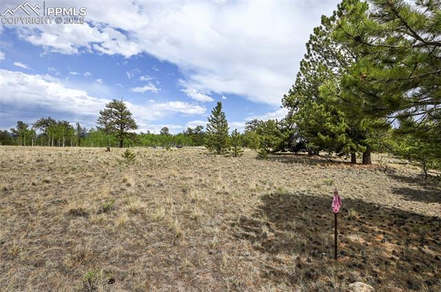 614 Yellowstone Road