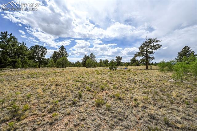 614 Yellowstone Road