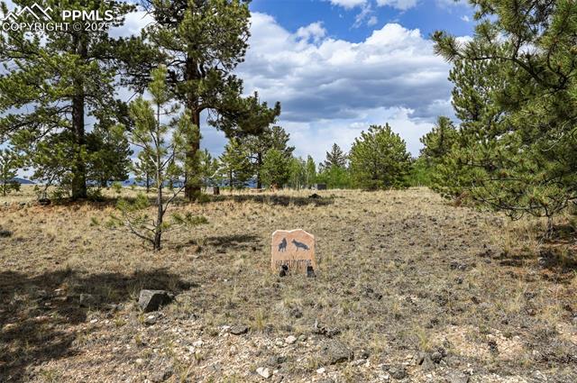 614 Yellowstone Road