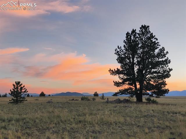 614 Yellowstone Road