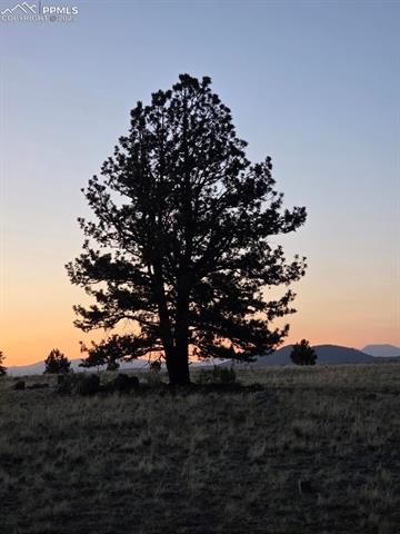 614 Yellowstone Road