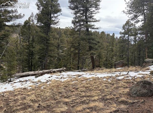 84 Point View Circle