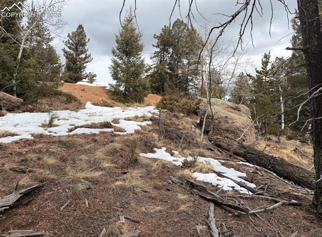 84 Point View Circle