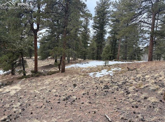 84 Point View Circle